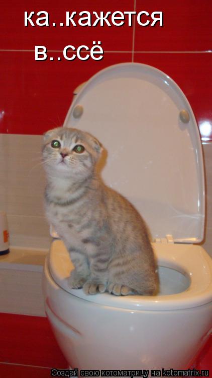 ка..кажется в..ссё... Котоматрица: ка..кажется в..ссё