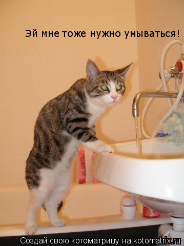 Эй мне тоже нужно умываться!... Котоматрица: Эй мне тоже нужно умываться!