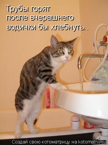 Трубы горят после вчерашнего!!! Трубы горят после вчерашнего водички бы хлебнуть..... Котоматрица: Трубы горят после вчерашнего!!! Трубы горят после вчерашнего водички бы хлебнуть..