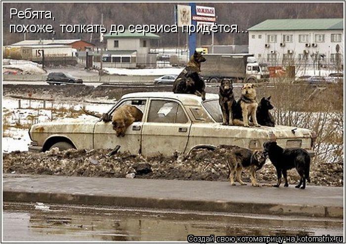 Ребята, похоже, толкать до сервиса придётся...... Котоматрица: Ребята, похоже, толкать до сервиса придётся...