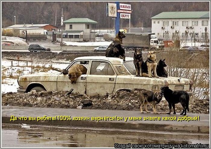 Да что вы ребята!100% хозяин вернётся!он у меня знаете какой добрый!... Котоматрица: Да что вы ребята!100% хозяин вернётся!он у меня знаете какой добрый!