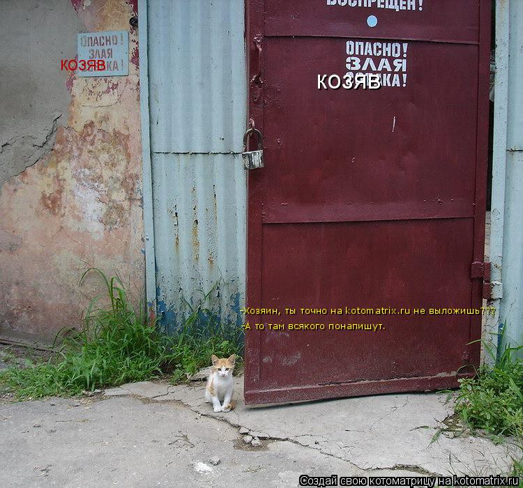 козяв козяв -Ты точно на kotomatrix.ru не выложишь???А том понапишут всякого... -А то там всякого пон... Котоматрица: козяв козяв -Ты точно на kotomatrix.ru не выложишь???А том понапишут всякого... -А то там всякого понапишут. -Хозяин, ты точно на kotomatrix.ru не выл