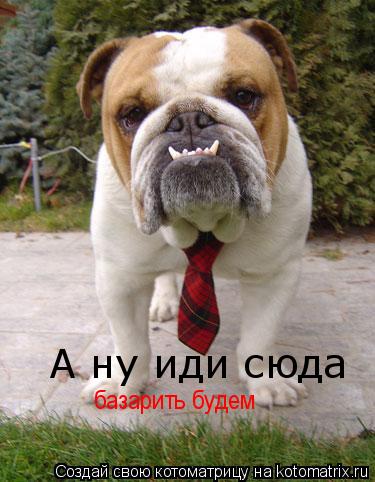 А ну иди сюда базарить будем... Котоматрица: А ну иди сюда базарить будем