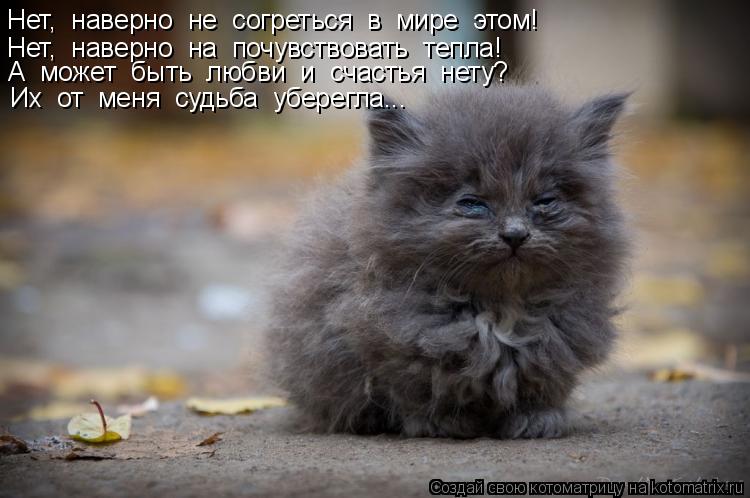 Нет, наверно не согреться в мире этом! Нет, наверно на почувствовать тепла! А может быть ... Котоматрица: Нет, наверно не согреться в мире этом! Нет, наверно на почувствовать тепла! А может быть любви и счастья нету? Их от меня судьба у