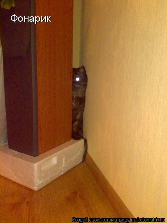 Фонарик... Котоматрица: Фонарик