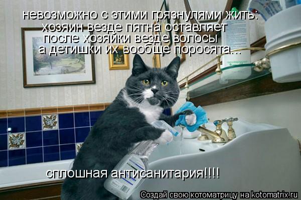 невозможно с этими грязнулями жить: хозяин везде пятна оставляет после хозяйки везде волосы а детишки... Котоматрица: невозможно с этими грязнулями жить: хозяин везде пятна оставляет после хозяйки везде волосы а детишки их вообще поросята... сплошная антиса