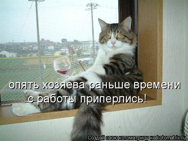 опять хозяева раньше времени с работы приперлись!... Котоматрица: опять хозяева раньше времени с работы приперлись!