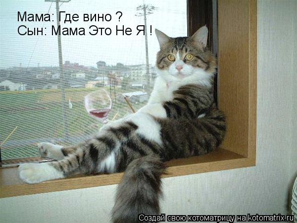 Мама: Где вино ? Мама: Где вино ? Сын: Мама Это Не Я !... Котоматрица: Мама: Где вино ? Мама: Где вино ? Сын: Мама Это Не Я !