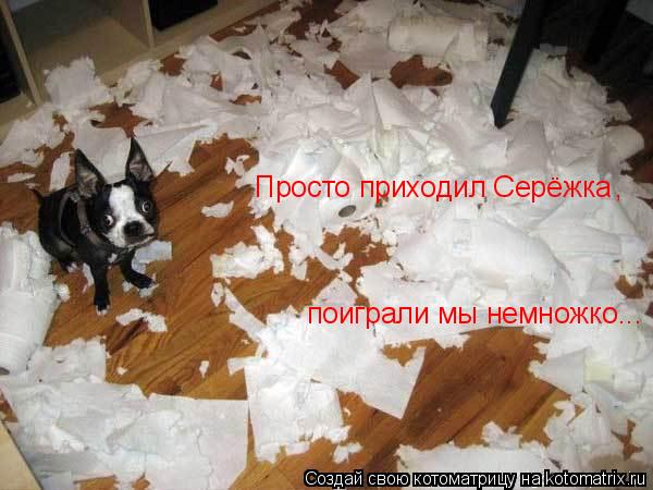 Просто приходил Серёжка поиграли мы немножко... ,... Котоматрица: Просто приходил Серёжка поиграли мы немножко... ,