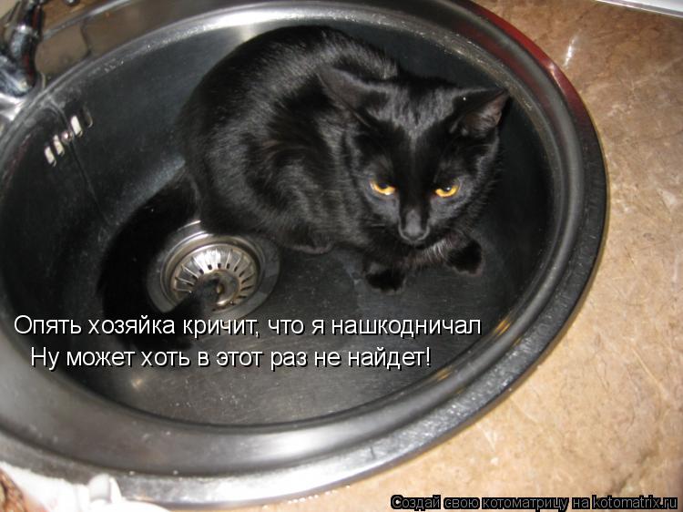 Опять хозяйка кричит, что я нашкодничал Ну может хоть в этот раз не найдет!... Котоматрица: Опять хозяйка кричит, что я нашкодничал Ну может хоть в этот раз не найдет!