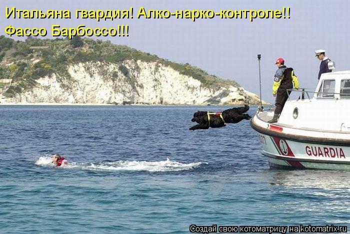 Итальяна гвардия! Алко-нарко-контроле!! Фассо Барбоссо!!!... Котоматрица: Итальяна гвардия! Алко-нарко-контроле!! Фассо Барбоссо!!!