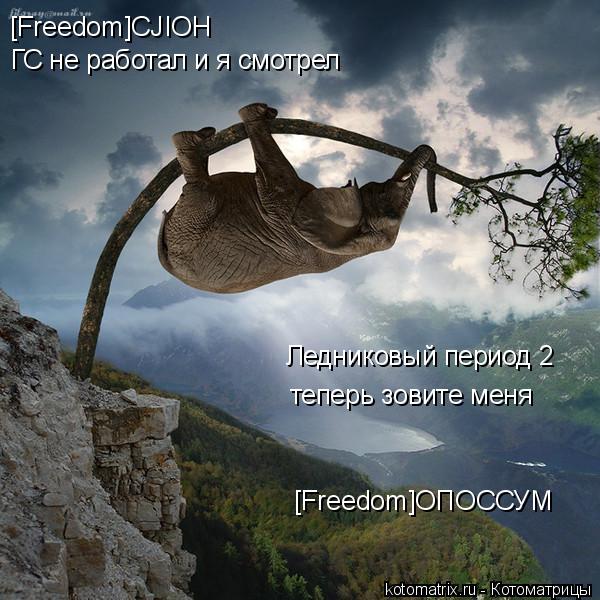 Котоматрица: [Freedom]CJIOH ГС не работал и я смотрел Ледниковый период 2 теперь зовите меня [Freedom]OПОССУМ