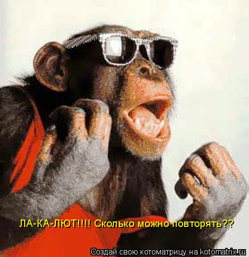 ЛА-КА-ЛЮТ!!!! Сколько можно повторять??... Котоматрица: ЛА-КА-ЛЮТ!!!! Сколько можно повторять??