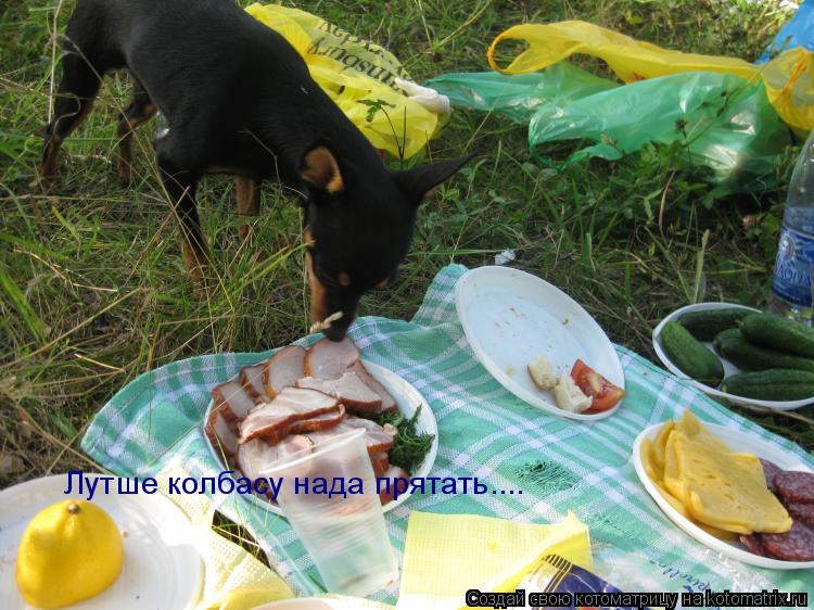 Лутше колбасу нада прятать....... Котоматрица: Лутше колбасу нада прятать....