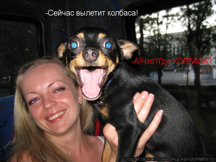 -Сейчас вылетит колбаса! -А!Что?Где КОЛБАСА?... Котоматрица: -Сейчас вылетит колбаса! -А!Что?Где КОЛБАСА?