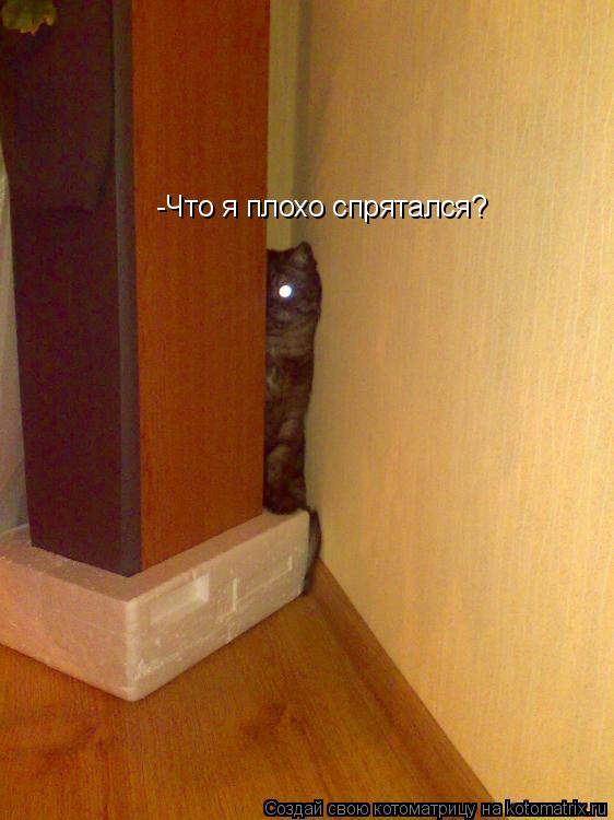 -Что я плохо спрятался?... Котоматрица: -Что я плохо спрятался?