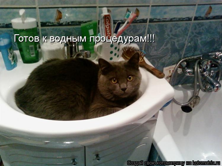 Готов к водным процедурам!!!... Котоматрица: Готов к водным процедурам!!!
