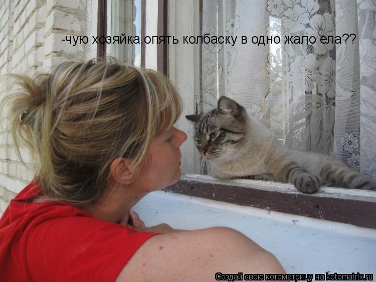 -чую хозяйка,опять колбаску в одно жало ела??... Котоматрица: -чую хозяйка,опять колбаску в одно жало ела??