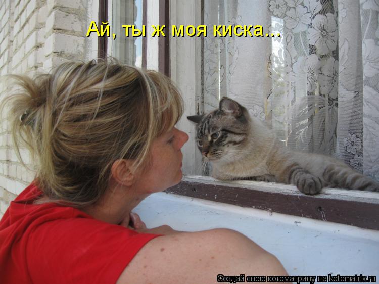 Ай, ты ж моя киска...... Котоматрица: Ай, ты ж моя киска...