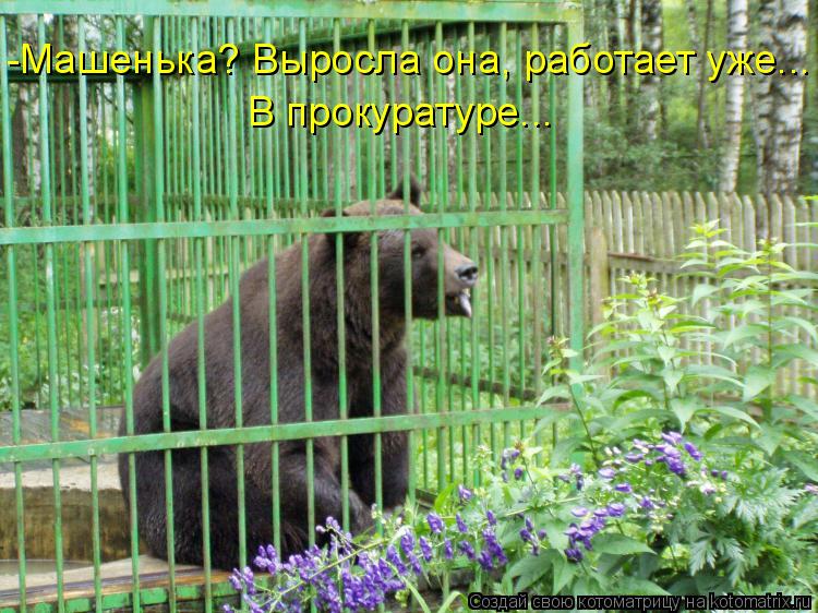 Котоматрица: -Машенька? Выросла она, работает уже... В прокуратуре...