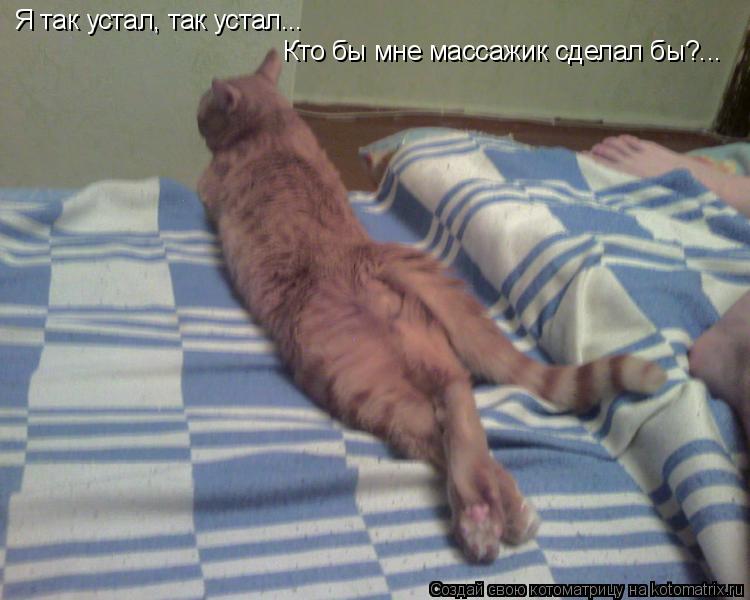 Я так устал, так устал... Кто бы мне массажик сделал бы?...... Котоматрица: Я так устал, так устал... Кто бы мне массажик сделал бы?...