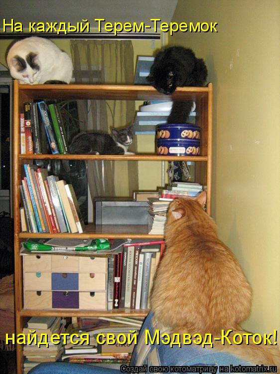 найдется свой Мэдвэд-Коток! На каждый Терем-Теремок... Котоматрица: найдется свой Мэдвэд-Коток! На каждый Терем-Теремок