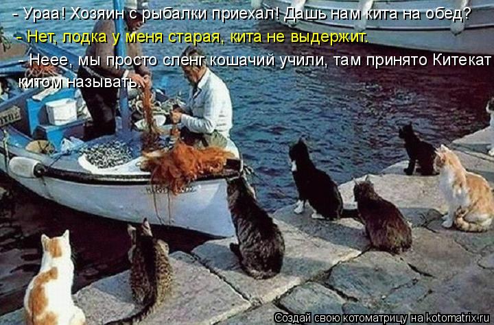 - Ураа! Хозяин с рыбалки приехал! Дашь нам кита на обед? - Нет, лодка у меня старая, кита не выдержи... Котоматрица: - Ураа! Хозяин с рыбалки приехал! Дашь нам кита на обед? - Нет, лодка у меня старая, кита не выдержит. - Неее, мы просто сленг кошачий учили, там