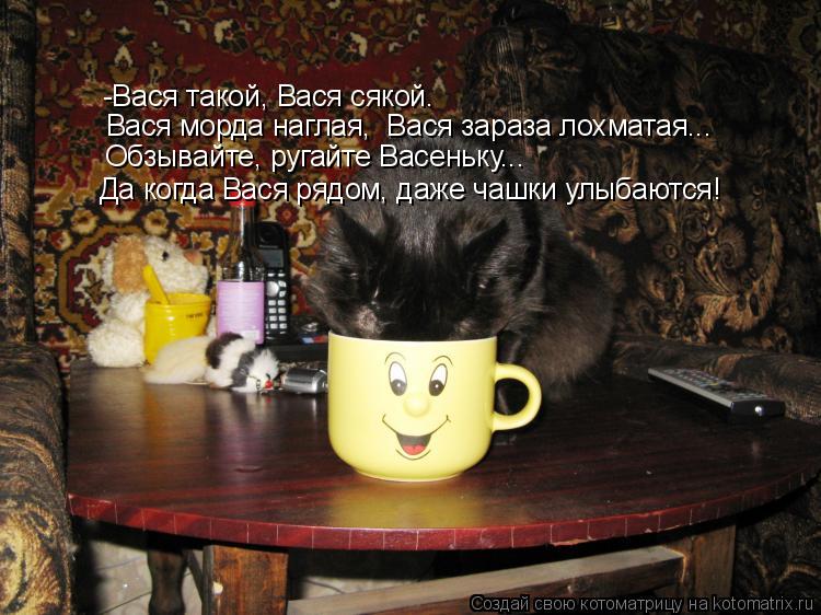 -Вася такой, Вася сякой. Вася морда наглая, Вася зараза лохматая... Обзывайте, ругайте Васеньку... ... Котоматрица: -Вася такой, Вася сякой. Вася морда наглая, Вася зараза лохматая... Обзывайте, ругайте Васеньку... Да когда Вася рядом, даже чашки улыбаются!