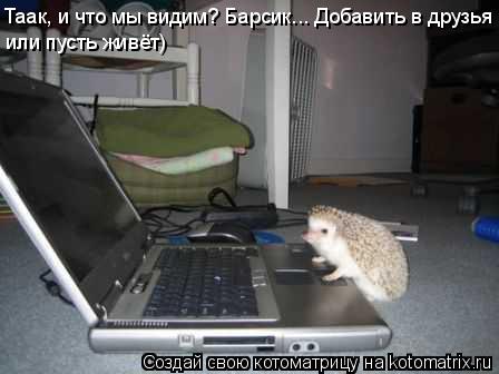 Таак, и что мы видим? Барсик... Добавить в друзья или пусть живёт)... Котоматрица: Таак, и что мы видим? Барсик... Добавить в друзья или пусть живёт)