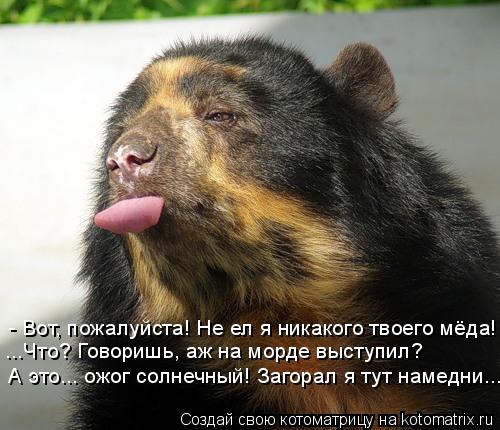 - Вот, пожалуйста! Не ел я никакого твоего мёда! ...Что? Говоришь, аж на морде выступил? А это... ожо... Котоматрица: - Вот, пожалуйста! Не ел я никакого твоего мёда! ...Что? Говоришь, аж на морде выступил? А это... ожог солнечный! Загорал я тут намедни...