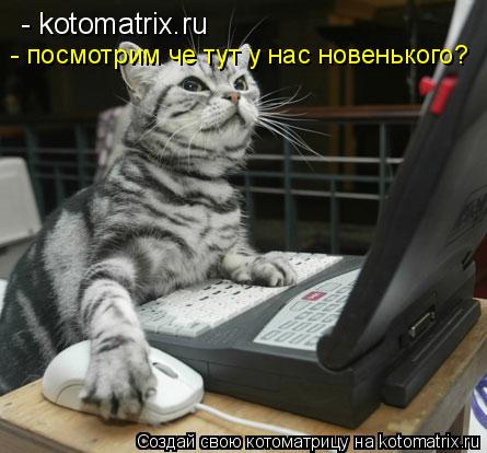 - kotomatrix.ru - посмотрим че тут у нас новенького?... Котоматрица: - kotomatrix.ru - посмотрим че тут у нас новенького?