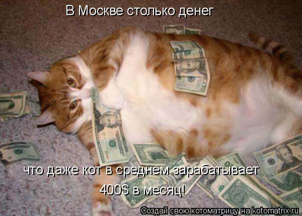 В Москве столько денег что даже кот в среднем зарабатывает 400$ в месяц!... Котоматрица: В Москве столько денег что даже кот в среднем зарабатывает 400$ в месяц!