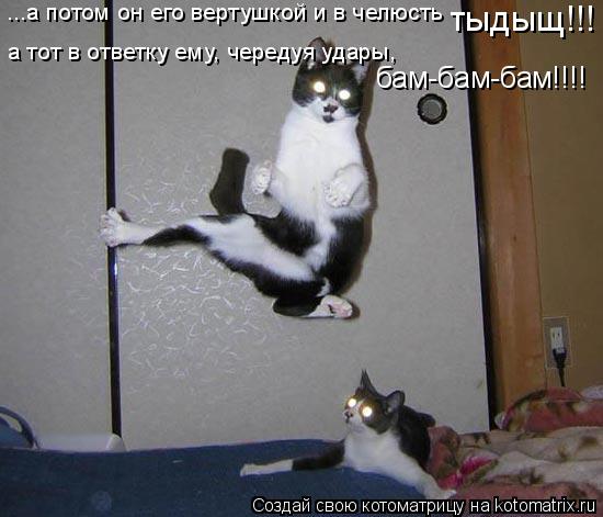 ...а потом он его вертушкой и в челюсть тыдыщ!!! а тот в ответку ему, чередуя удары, бам-бам-бам!!!... Котоматрица: ...а потом он его вертушкой и в челюсть тыдыщ!!! а тот в ответку ему, чередуя удары, бам-бам-бам!!!!