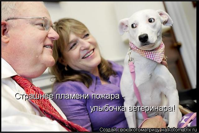 Страшнее пламени пожара - улыбочка ветеринара!... Котоматрица: Страшнее пламени пожара - улыбочка ветеринара!