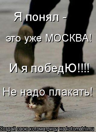 Я понял - это уже МОСКВА! И я победЮ!!!! Не надо плакать!... Котоматрица: Я понял - это уже МОСКВА! И я победЮ!!!! Не надо плакать!