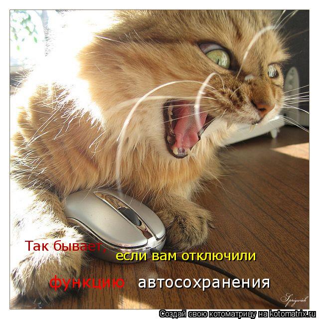 Так бывает, если вам отключили функцию автосохранения... Котоматрица: Так бывает, если вам отключили функцию автосохранения