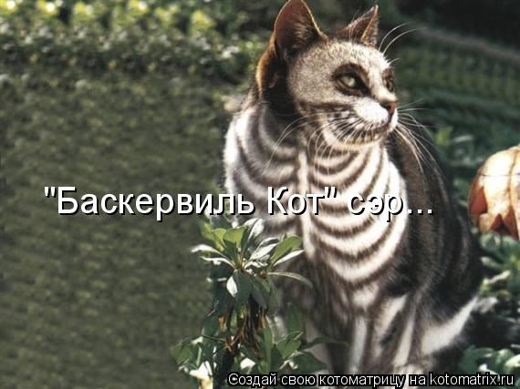 "Баскервиль Кот" сэр...... Котоматрица: "Баскервиль Кот" сэр...