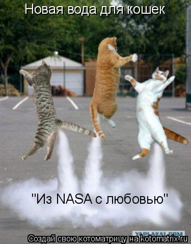 Новая вода для кошек "Из NASA с любовью"... Котоматрица: Новая вода для кошек "Из NASA с любовью"