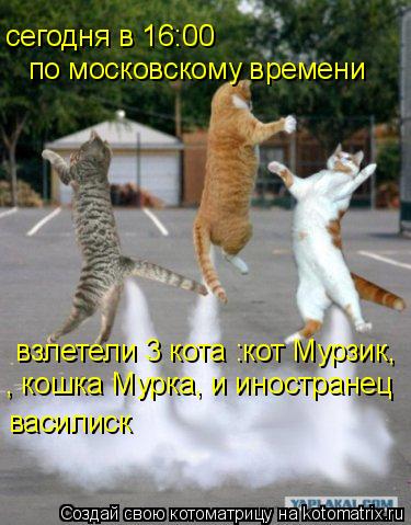 сегодня в 16:00 по московскому времени взлетели 3 кота :кот Мурзик, , кошка Мурка, и иностранец в... Котоматрица: сегодня в 16:00 по московскому времени взлетели 3 кота :кот Мурзик, , кошка Мурка, и иностранец василиск