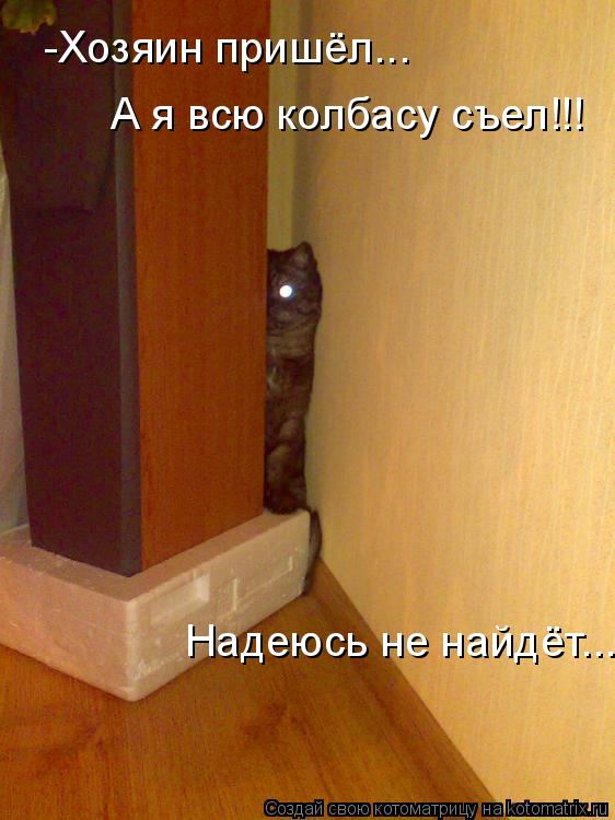 -Хозяин пришёл... А я всю колбасу съел!!! Надеюсь не найдёт...... Котоматрица: -Хозяин пришёл... А я всю колбасу съел!!! Надеюсь не найдёт...