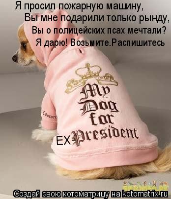 Я просил пожарную машину, Вы мне подарили только рынду, ЕХ- Вы о полицейских псах мечтали? Я дарю! Во... Котоматрица: Я просил пожарную машину, Вы мне подарили только рынду, ЕХ- Вы о полицейских псах мечтали? Я дарю! Возьмите.Распишитесь