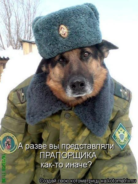 А разве вы представляли ПРАПОРЩИКА как-то иначе?... Котоматрица: А разве вы представляли ПРАПОРЩИКА как-то иначе?
