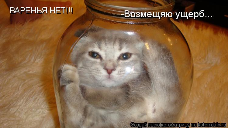 ВАРЕНЬЯ НЕТ!!! -Возмещяю ущерб...... Котоматрица: ВАРЕНЬЯ НЕТ!!! -Возмещяю ущерб...