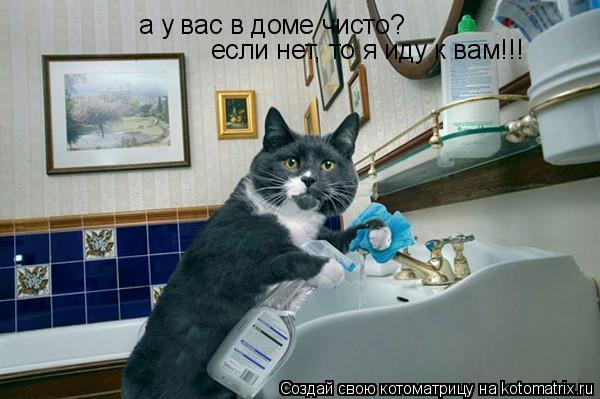 а у вас в доме чисто? если нет, то я иду к вам!!!... Котоматрица: а у вас в доме чисто? если нет, то я иду к вам!!!