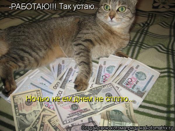 -РАБОТАЮ!!! Так устаю... Ночью не ем,днем не спллю...... Котоматрица: -РАБОТАЮ!!! Так устаю... Ночью не ем,днем не спллю...