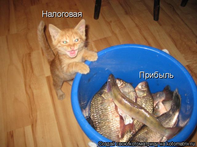 Прибыль Налоговая... Котоматрица: Прибыль Налоговая