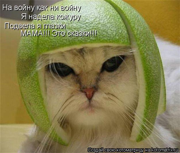 На войну как ни войну Я надела кожуру Подвела я глазки МАМА!!! Это сказки!!!... Котоматрица: На войну как ни войну Я надела кожуру Подвела я глазки МАМА!!! Это сказки!!!