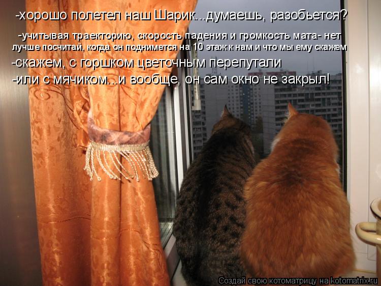 -хорошо полетел наш Шарик...думаешь, разобьется? -учитывая траекторию, скорость падения и громкость м... Котоматрица: -хорошо полетел наш Шарик...думаешь, разобьется? -учитывая траекторию, скорость падения и громкость мата- нет лучше посчитай, когда он подним