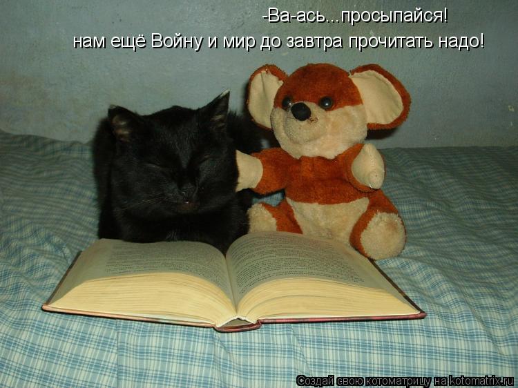 нам ещё Войну и мир до завтра прочитать надо! -Ва-ась...просыпайся!... Котоматрица: нам ещё Войну и мир до завтра прочитать надо! -Ва-ась...просыпайся!
