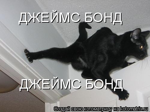 ДЖЕЙМС БОНД ДЖЕЙМС БОНД... Котоматрица: ДЖЕЙМС БОНД ДЖЕЙМС БОНД